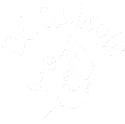 Del Quixote
